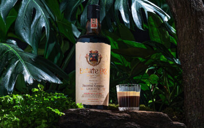 Tiny Tini Espresso Shot