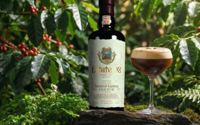 The Ultimate Home Espresso Martini: No Machine, No Mess, Less Sugar (2026 Guide)