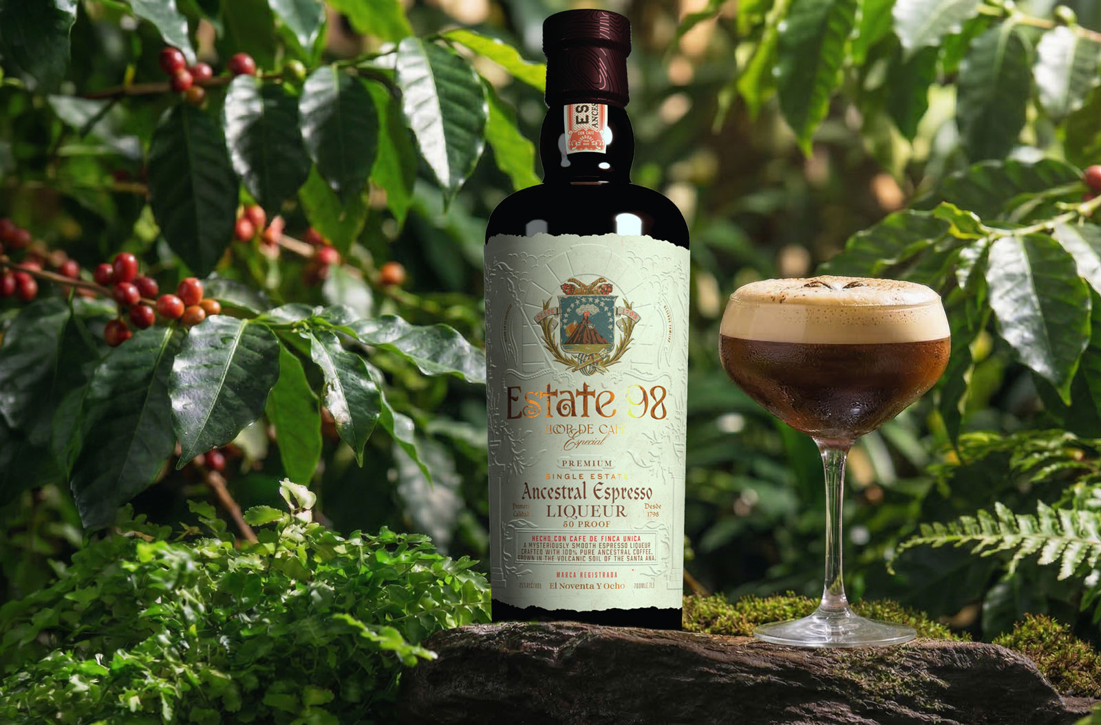 The Ultimate Home Espresso Martini: No Machine, No Mess, Less Sugar (2026 Guide)